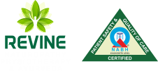 Revine logo